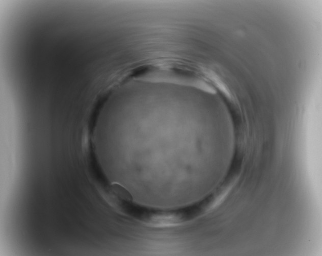 X0000099570213200805231537