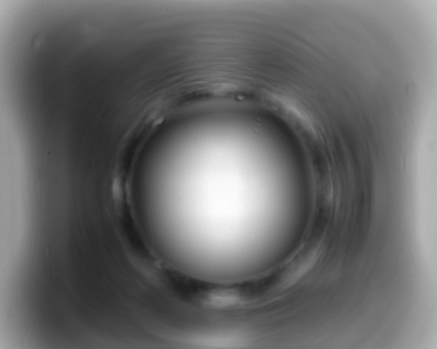 X0000099570214200805231537