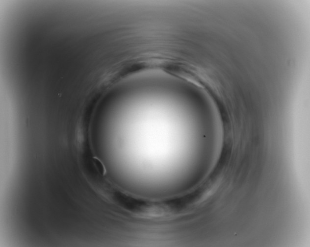 X0000099570215200805231537