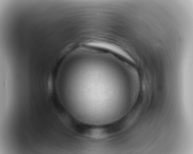X0000099570216200805231537