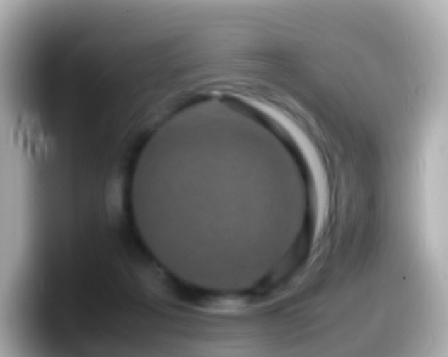 X0000099570217200805231537