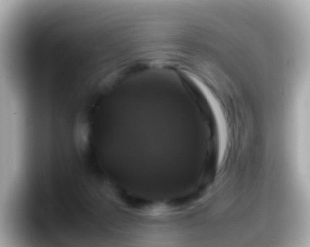 X0000099570219200805231537