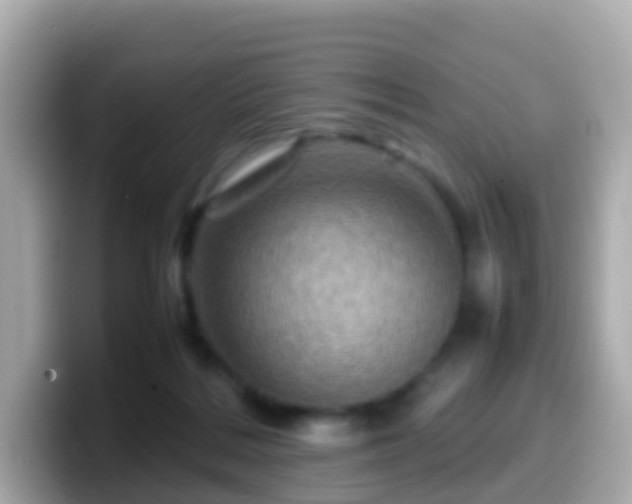 X0000099570220200805231537