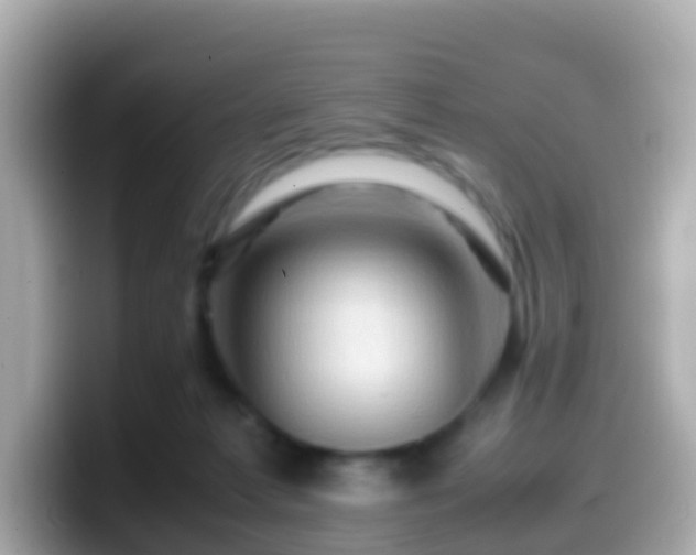 X0000099570221200805231537