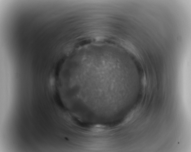 X0000099570222200805231537