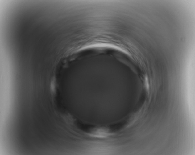 X0000099570223200805231537
