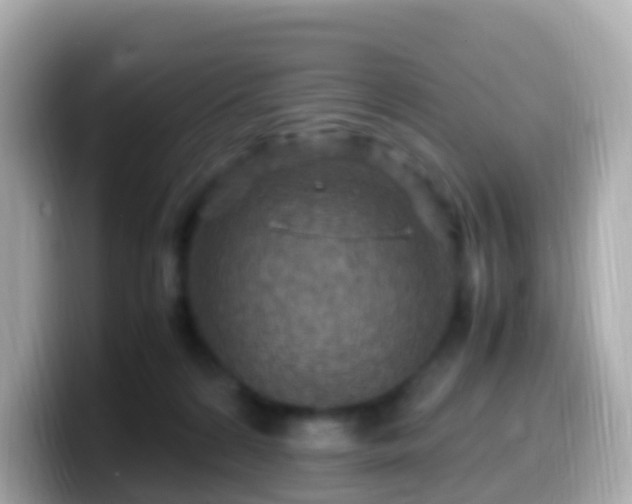 X0000099570224200805231537