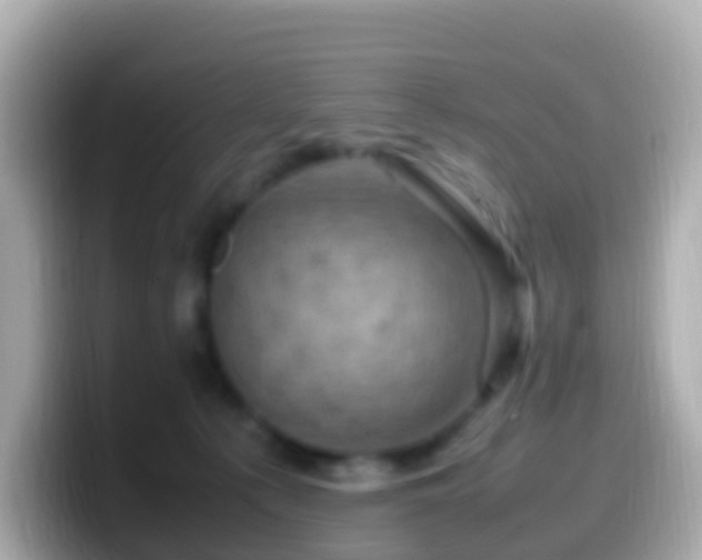 X0000099570225200805231537