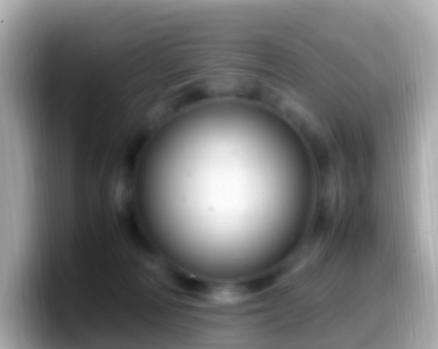 X0000099570226200805231537