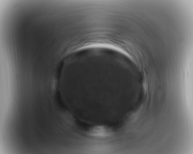 X0000099570227200805231537