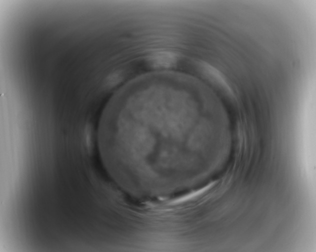 X0000099570228200805231537