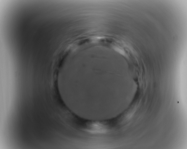 X0000099570229200805231537