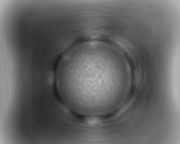 X0000099570230200805231537