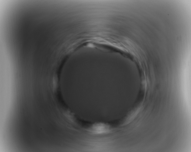 X0000099570231200805231537