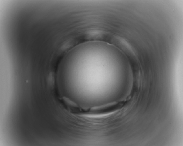 X0000099570232200805231537