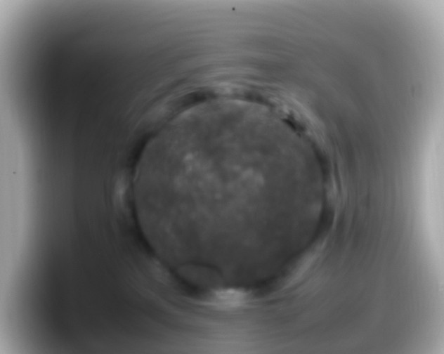 X0000099570233200805231537