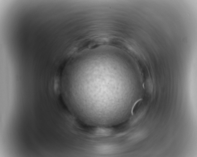 X0000099570234200805231537
