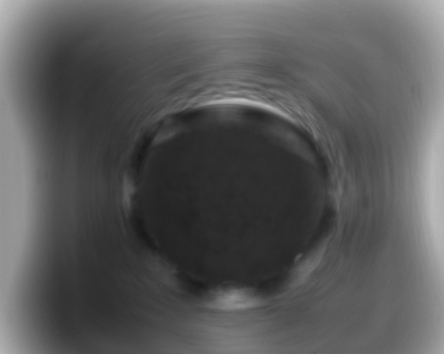 X0000099570235200805231537