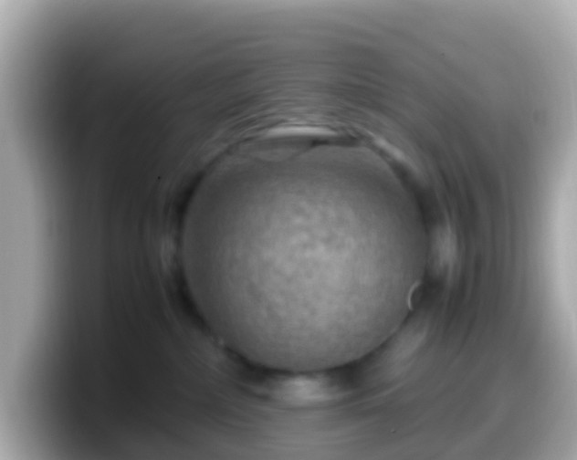 X0000099570236200805231537