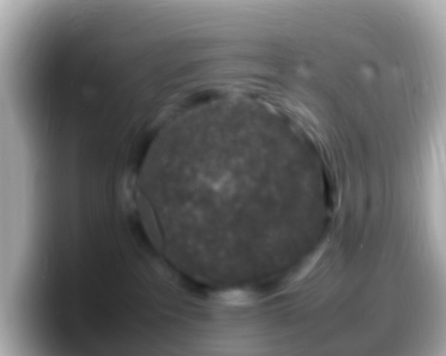 X0000099570237200805231537