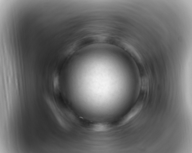 X0000099570238200805231537