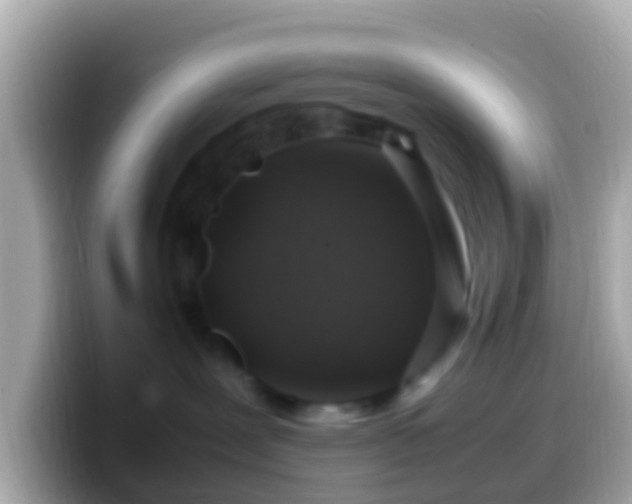 X0000099570239200805231537