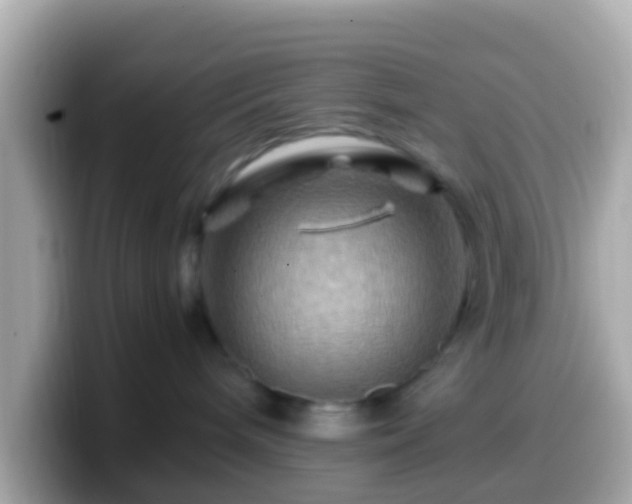 X0000099570240200805231537