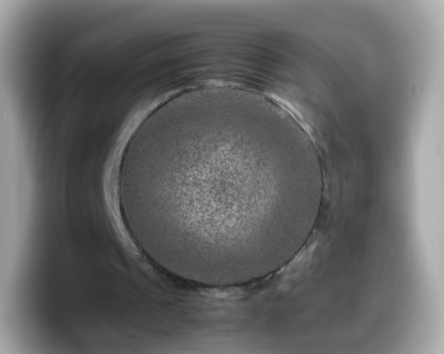 X0000099570241200805231537