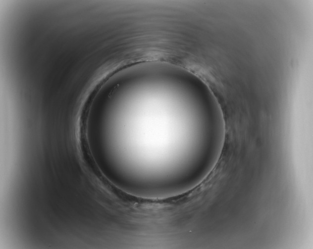 X0000099570242200805231537