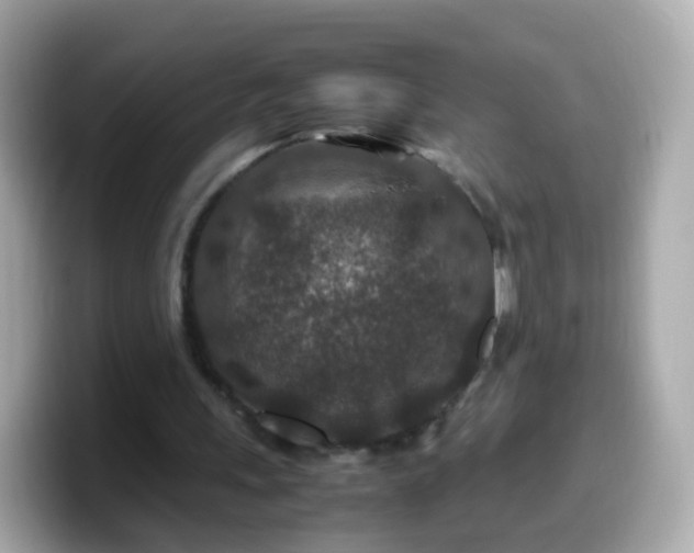 X0000099570243200805231537