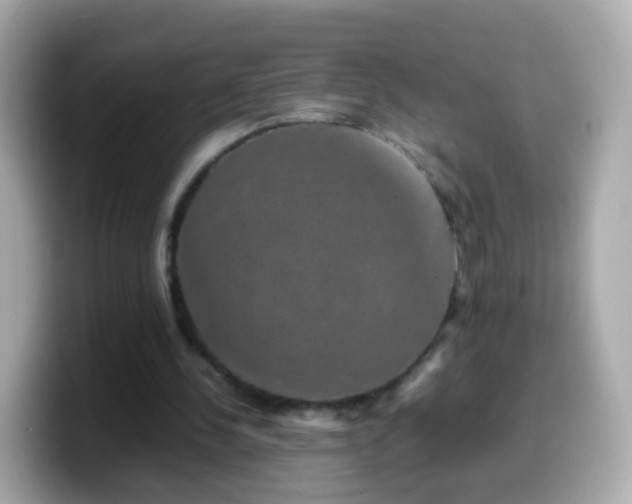 X0000099570244200805231537