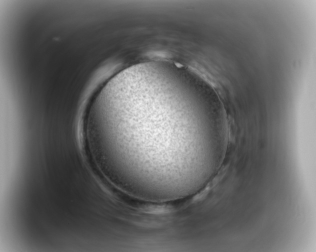 X0000099570245200805231537