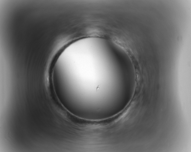 X0000099570246200805231537