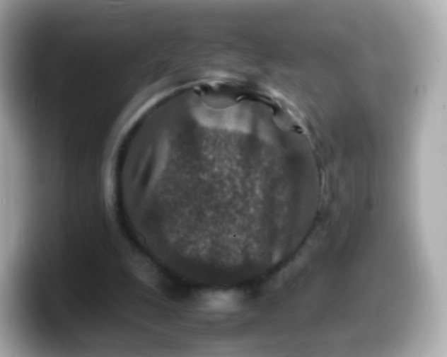 X0000099570247200805231537