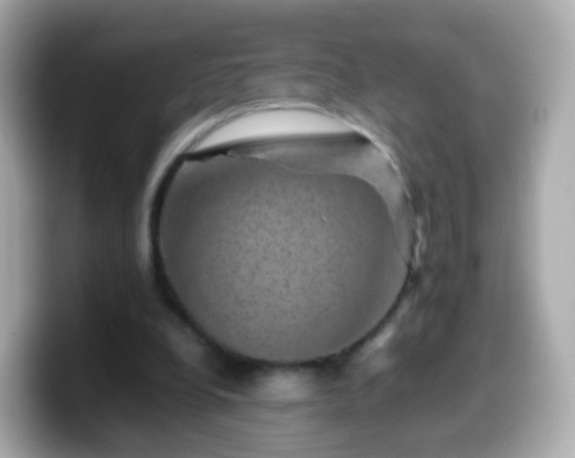 X0000099570248200805231537