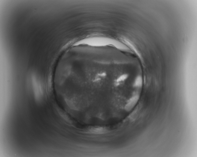 X0000099570249200805231537