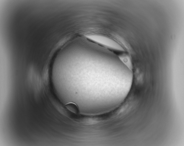 X0000099570250200805231537