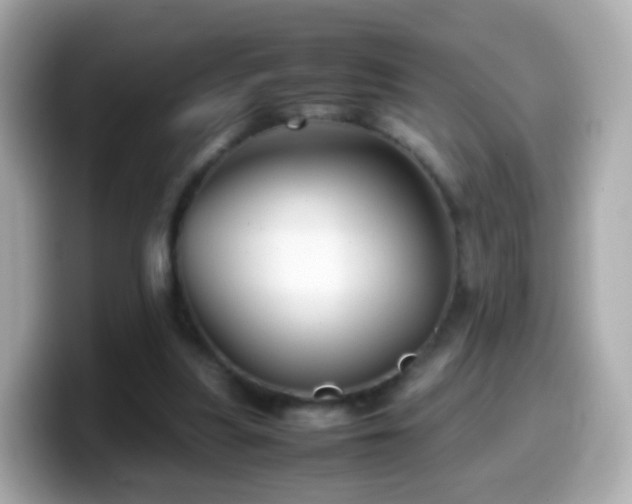 X0000099570251200805231537