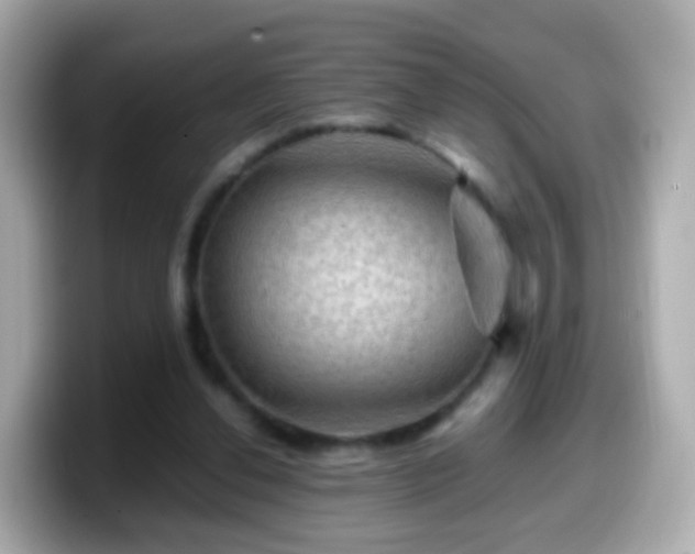 X0000099570252200805231537