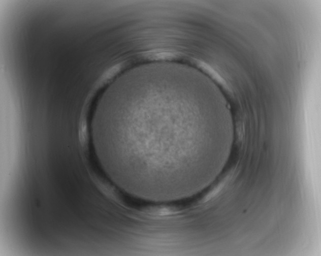 X0000099570254200805231537