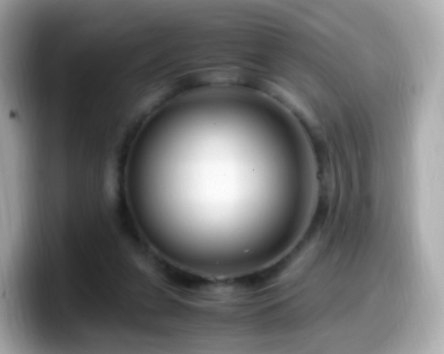 X0000099570255200805231537