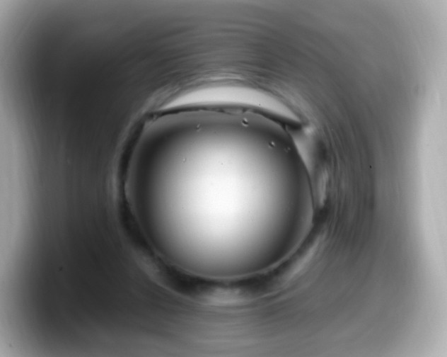 X0000099570256200805231537