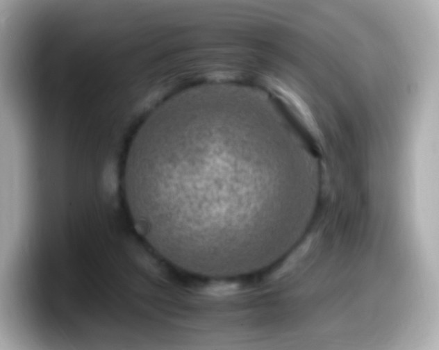 X0000099570257200805231537