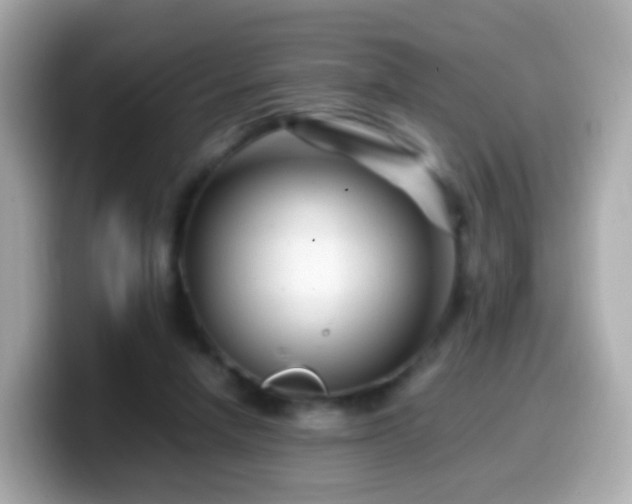 X0000099570258200805231537