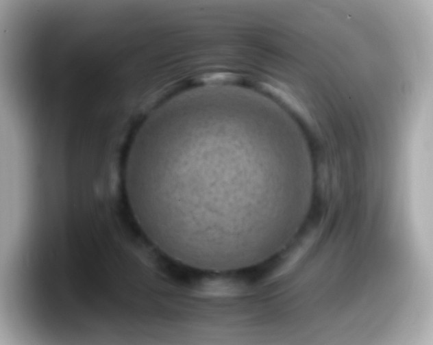 X0000099570259200805231537