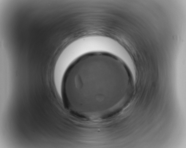 X0000099570260200805231537