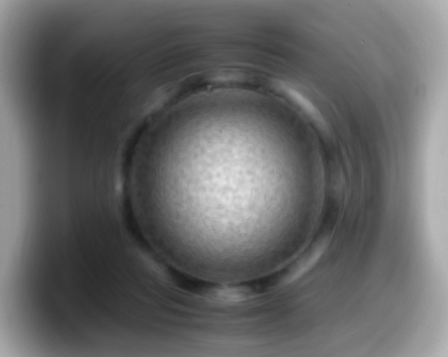 X0000099570261200805231537