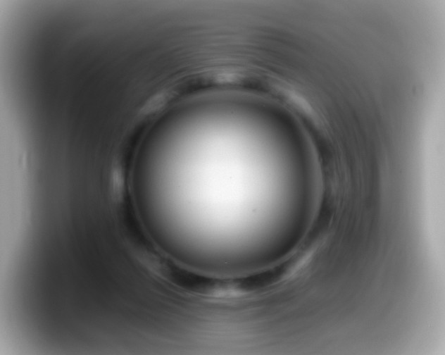 X0000099570262200805231537