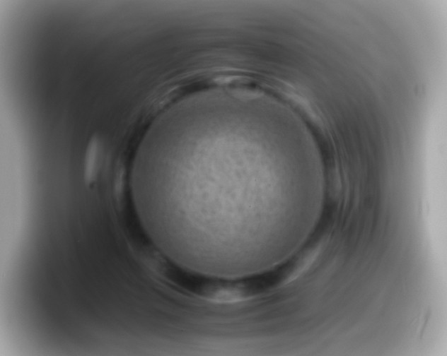 X0000099570263200805231537