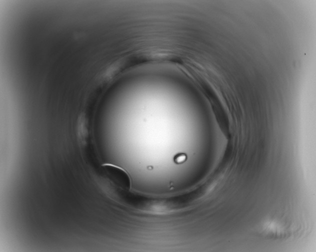 X0000099570264200805231537